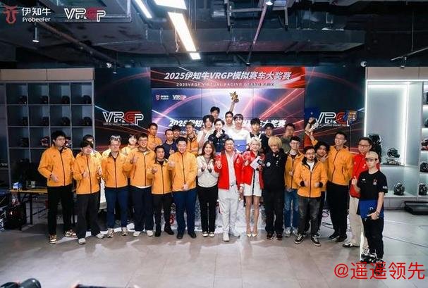 让更多人感受赛车的乐趣！2025伊知牛VRGP模拟赛车大奖赛冠军揭晓