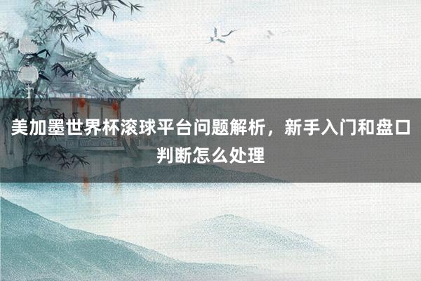 美加墨世界杯滚球平台问题解析，新手入门和盘口判断怎么处理