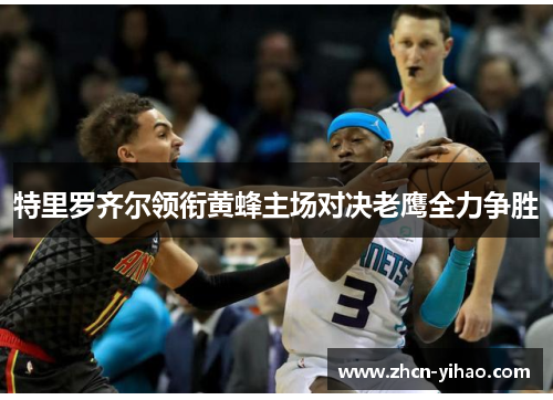 特里罗齐尔领衔黄蜂主场对决老鹰全力争胜