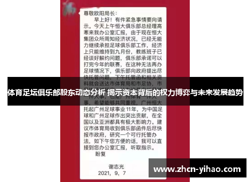 体育足坛俱乐部股东动态分析 揭示资本背后的权力博弈与未来发展趋势