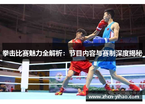 拳击比赛魅力全解析：节目内容与赛制深度揭秘