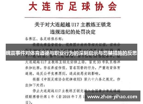 魏震事件对体育道德与职业行为的深刻启示与罚禁措施的反思